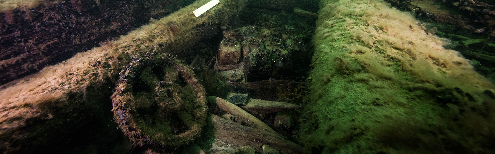 background-image
