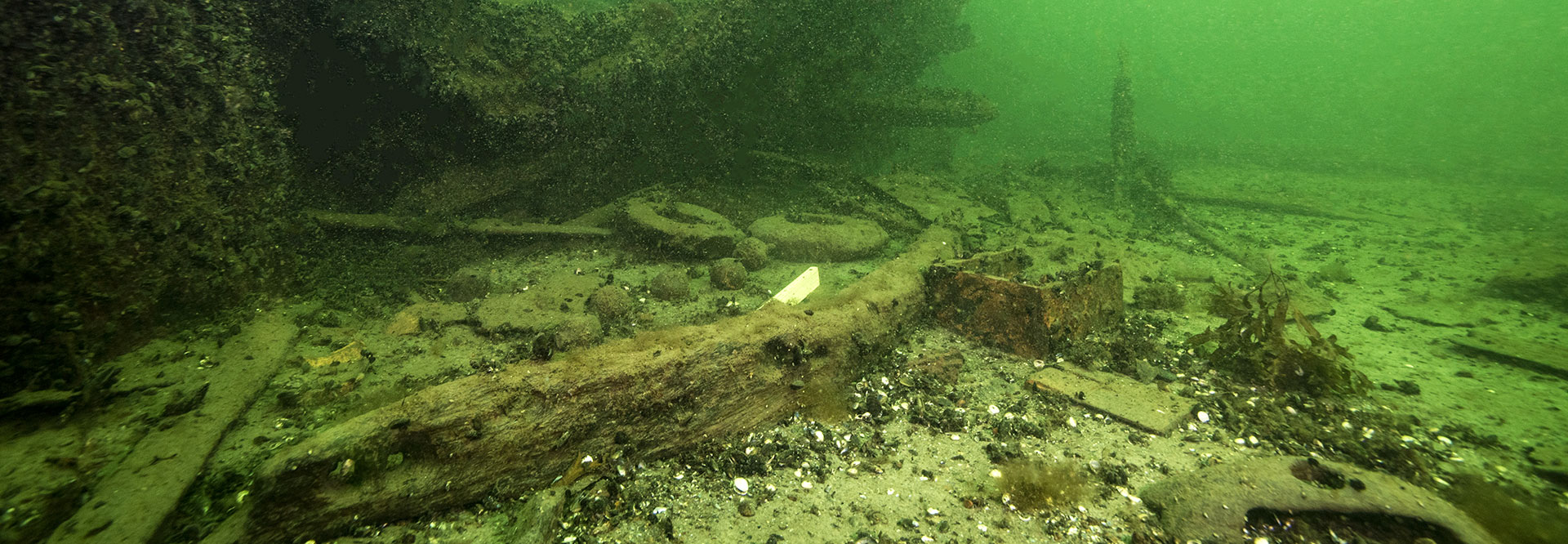 background-image