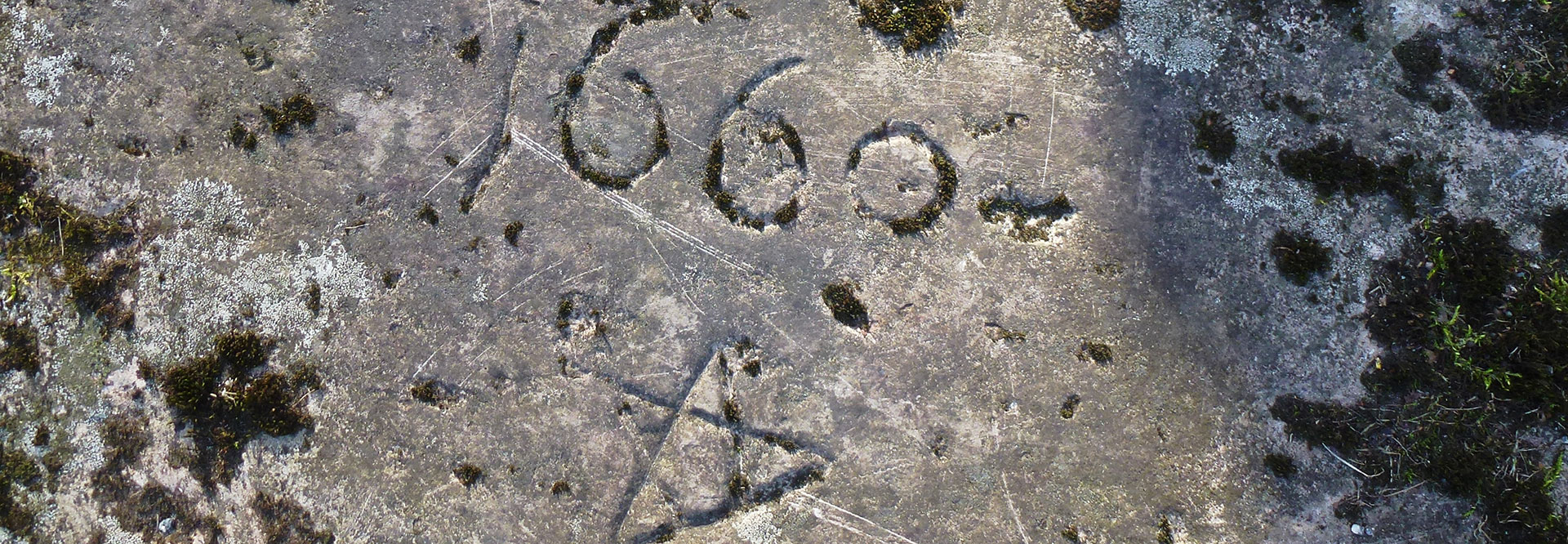 background-image