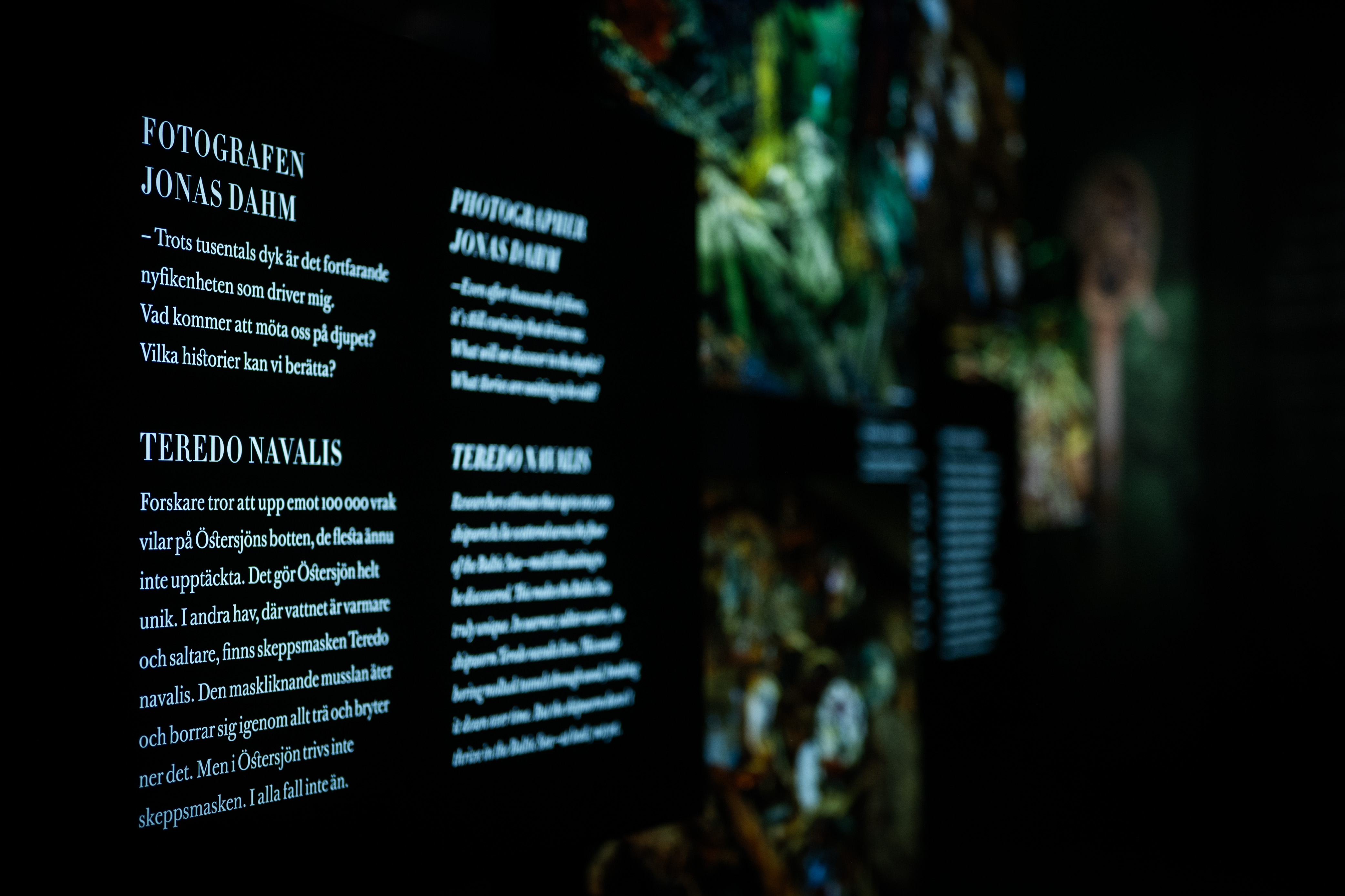 Informationsskyltar om fotografen Jonas Dahm och skeppsmasken Teredo Navalis, med färgrika vrakbilder i bakgrunden.